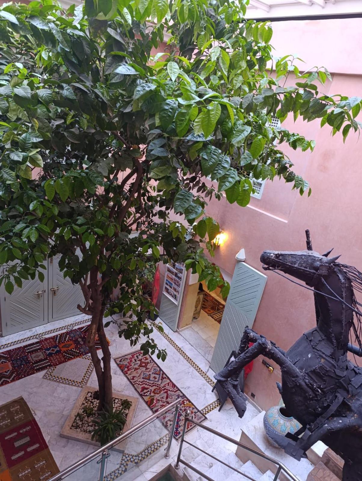 מרקש Riad Moullaoud מראה חיצוני תמונה